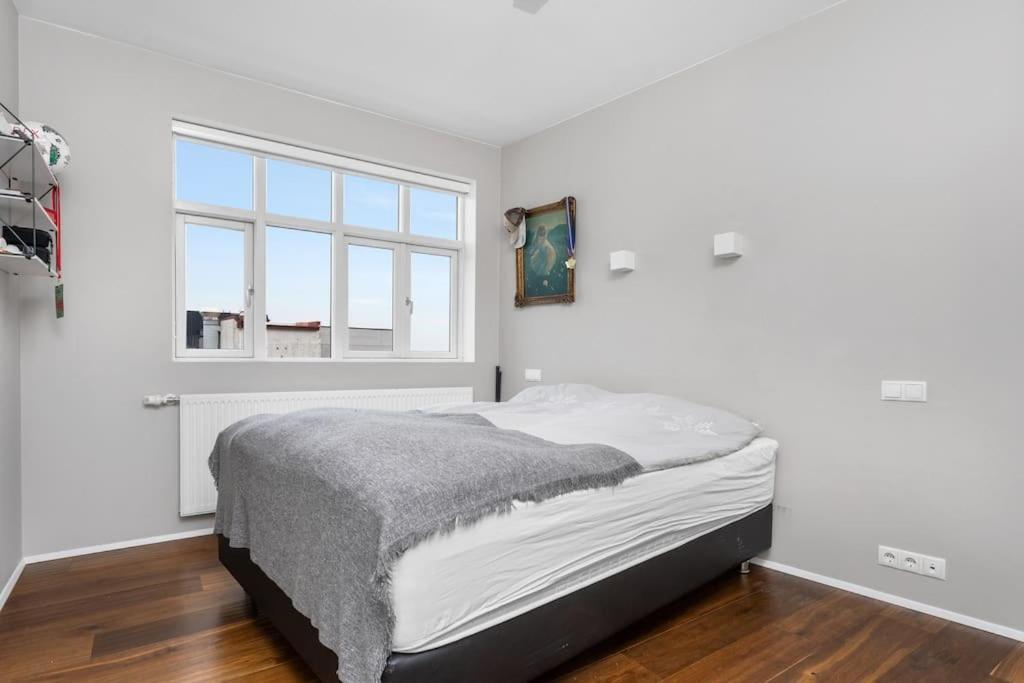 Apartment Stunning Rooftop In Downtown Reykjavik